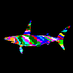 [Image of Shark]